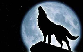 AuraWolf87 profile photo