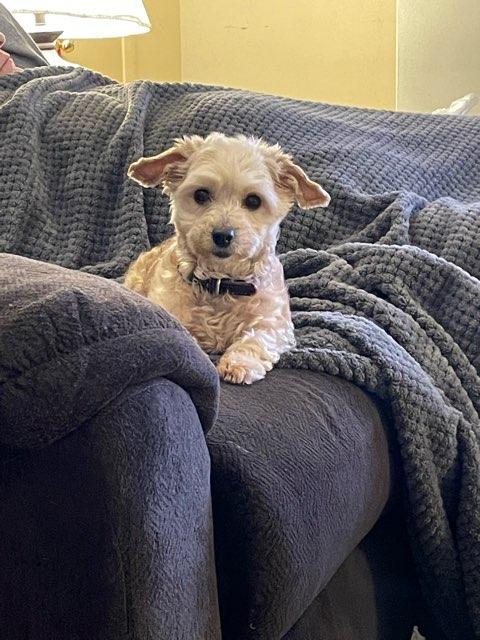 Jaymie profile photo