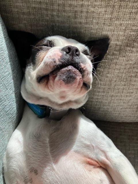 Annabel profile photo