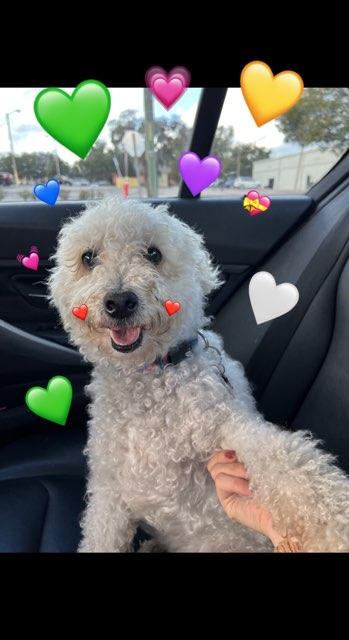 LizzyRod profile photo