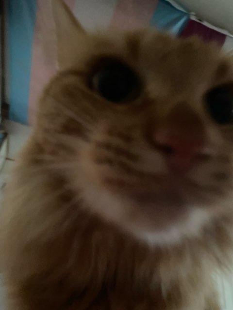 Eros profile photo