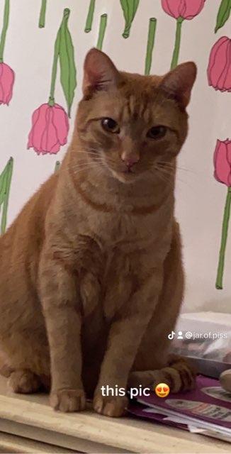Ariel profile photo
