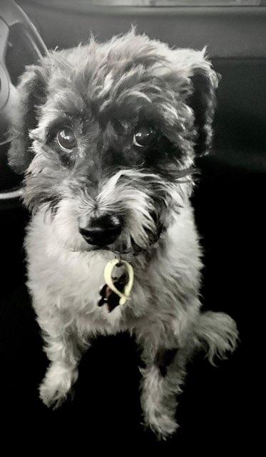 Dennis profile photo