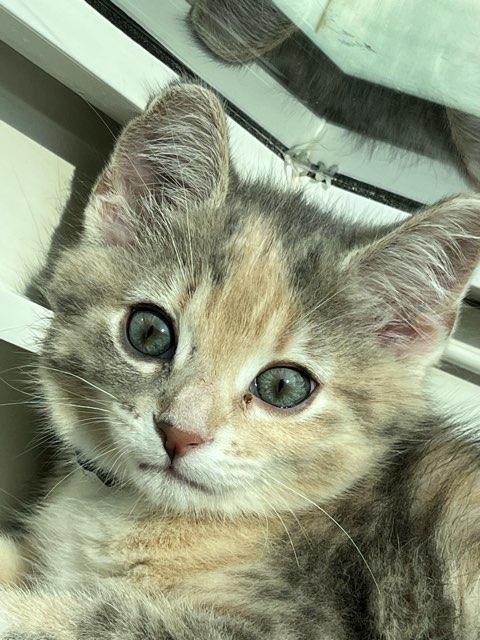 Annika profile photo