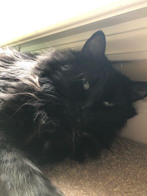 Faith profile photo