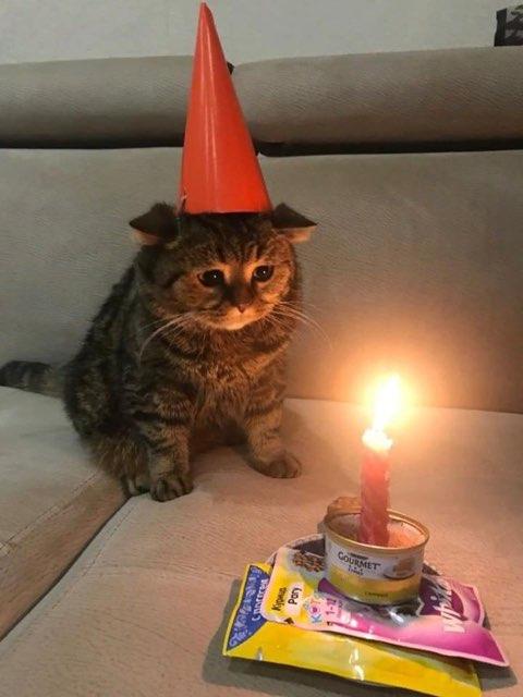 rubadub’s profile photo