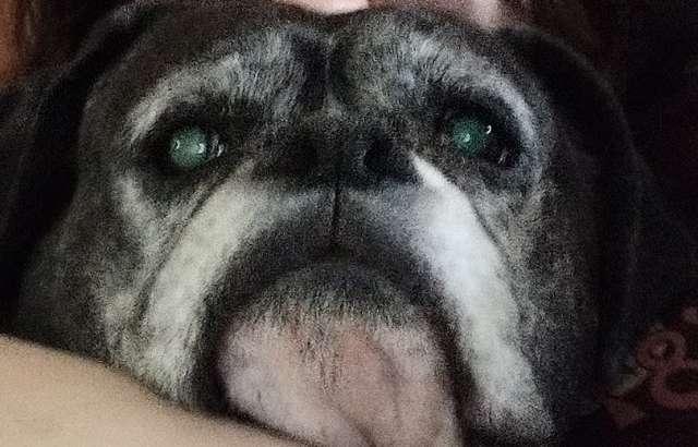 Izzy profile photo