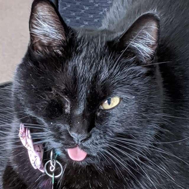 Katie profile photo