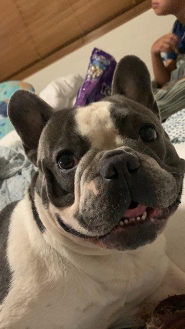 Jeronimo profile photo