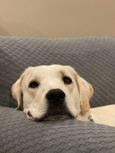 Sassy profile photo