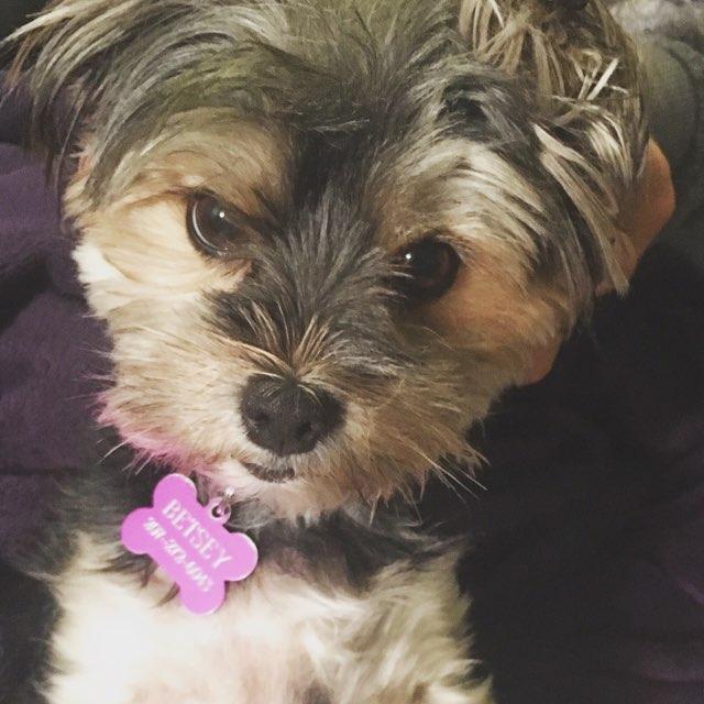 Vicky profile photo