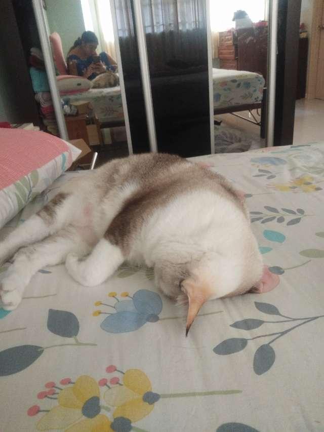 Meera profile photo
