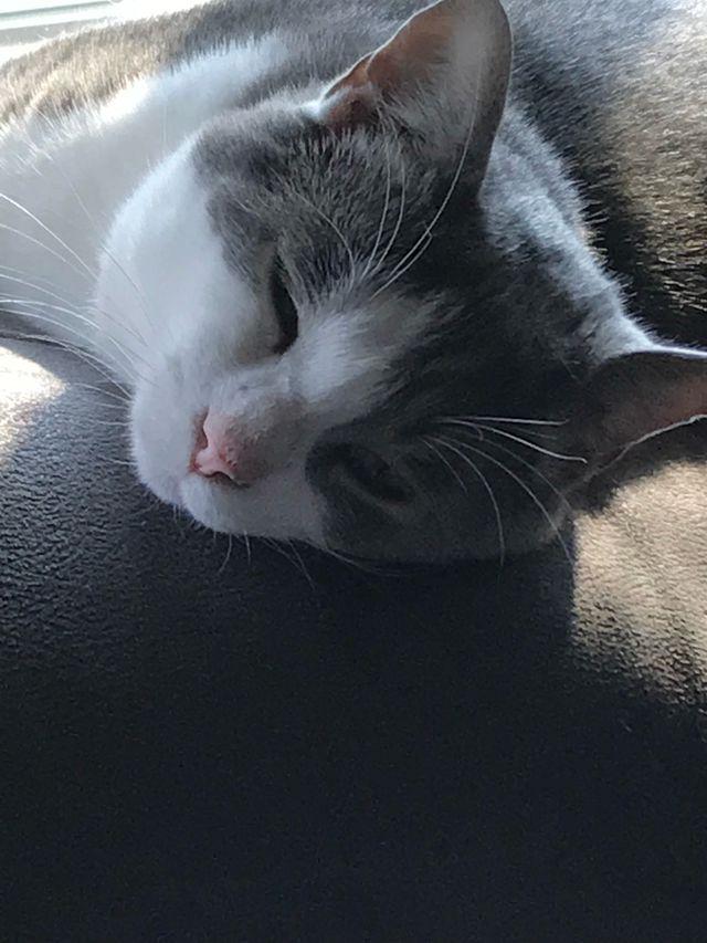 Pam profile photo