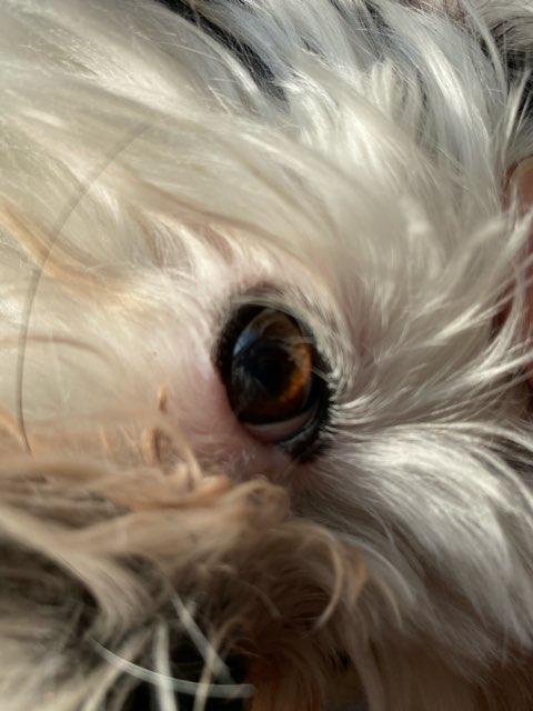Anna profile photo