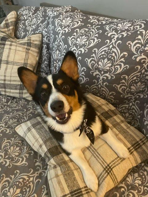 Kaylee profile photo