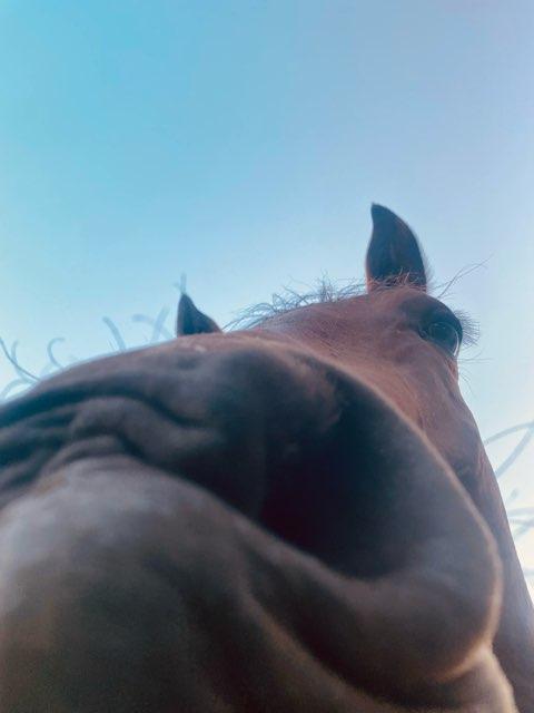 Cindy profile photo