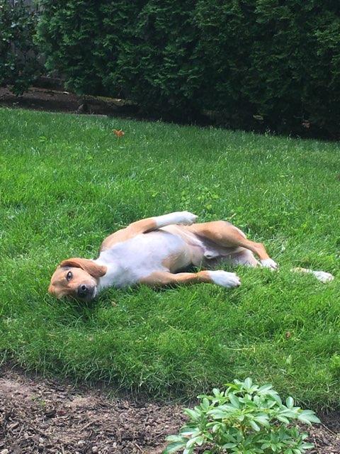 Charlie profile photo