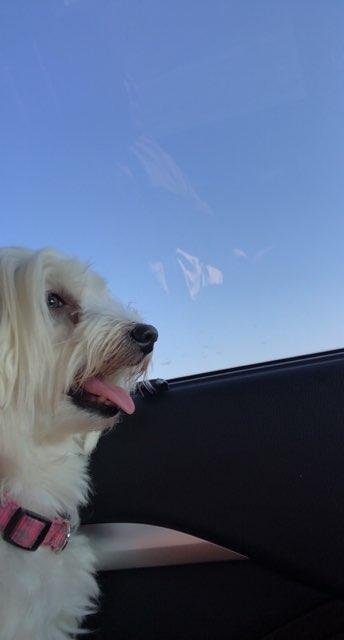 Aspen profile photo