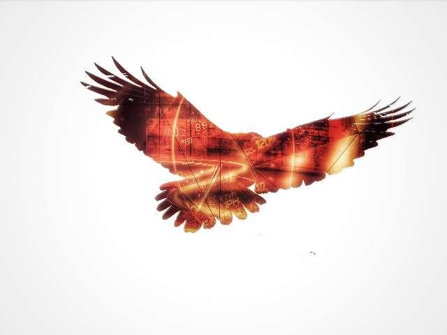 Tk profile photo