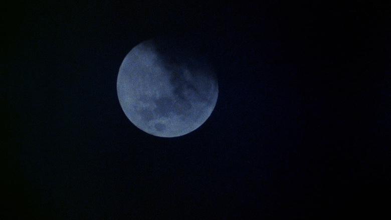 An American Werewolf in London image