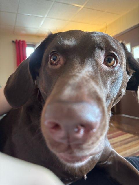 Maxy profile photo