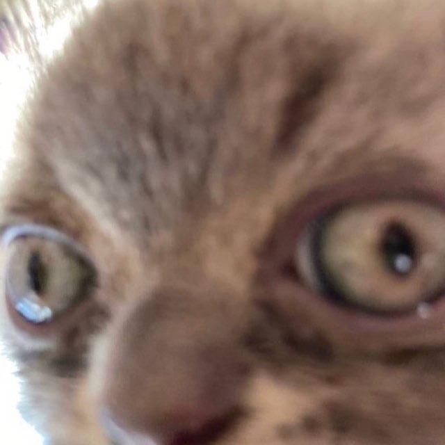 elena profile photo