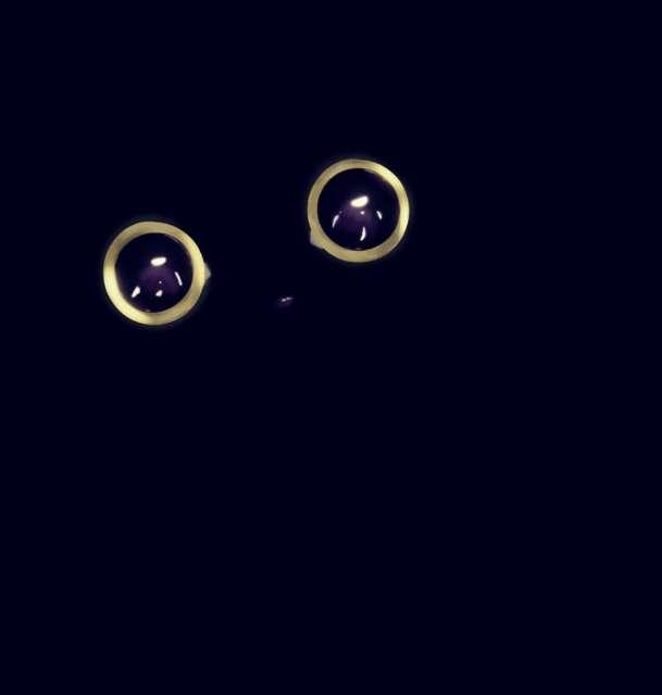 Wizard profile photo