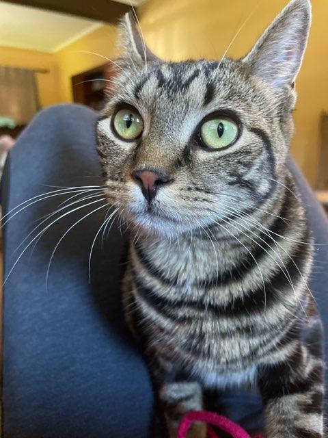 Carol profile photo