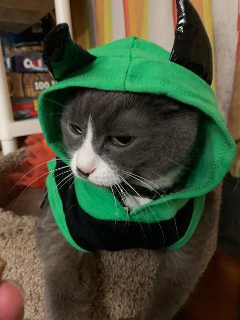 Carolinne profile photo