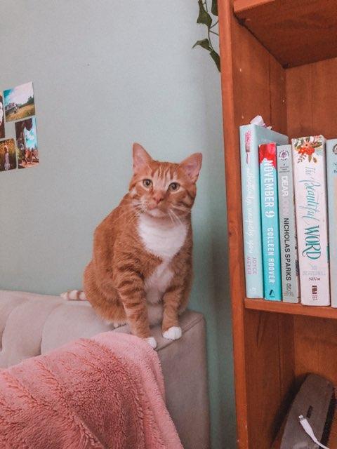 Danny profile photo