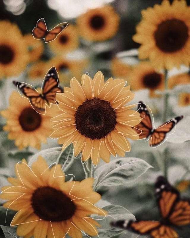 Bee profile photo