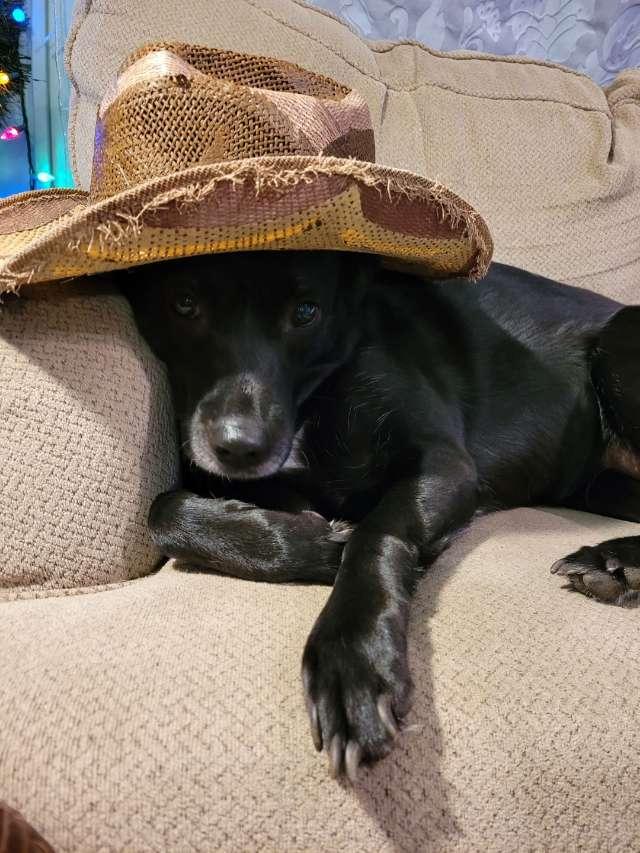Trash profile photo