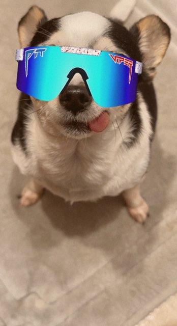 Andi profile photo