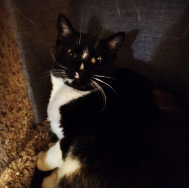Io profile photo