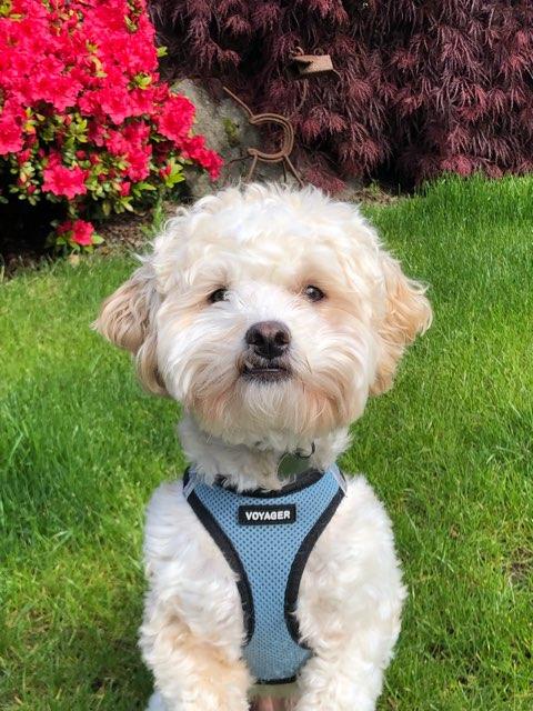 Clemix profile photo