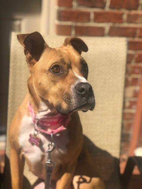 Jody profile photo