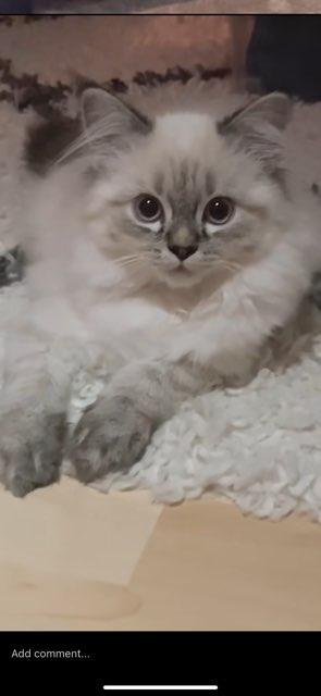 Nayah profile photo