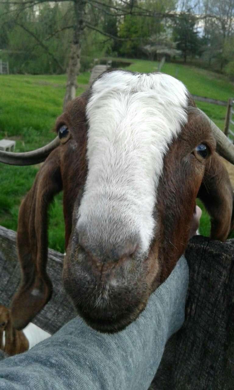 Madelyn profile photo