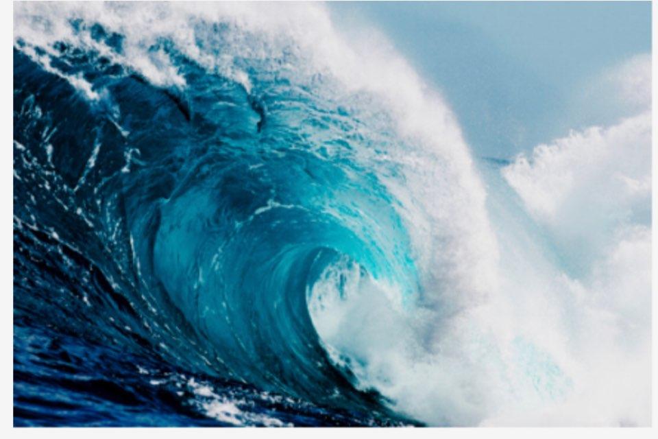Tsunami profile photo