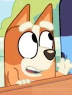 Austin profile photo