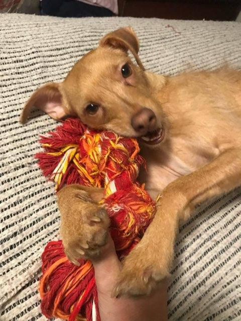 Christy profile photo