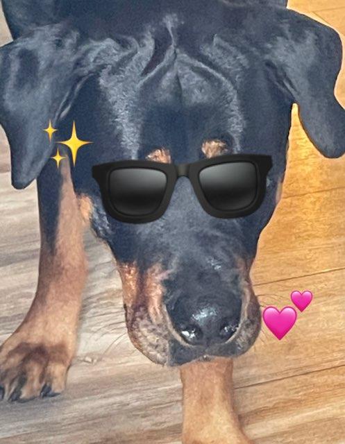 Jazzy profile photo