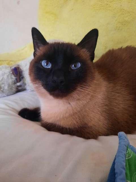 Isabel profile photo
