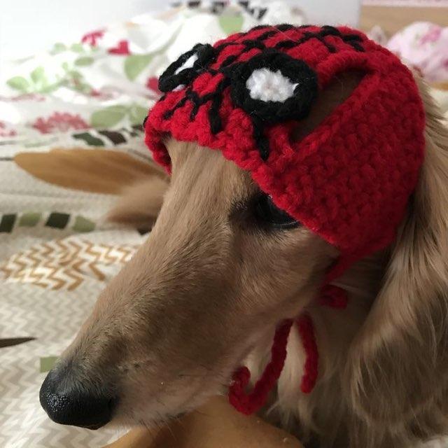 max!! profile photo