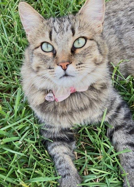 Sophia profile photo