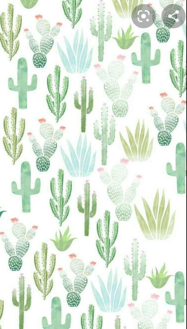 Craftygirl profile photo