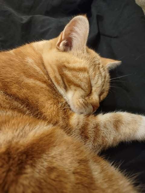Andrew profile photo