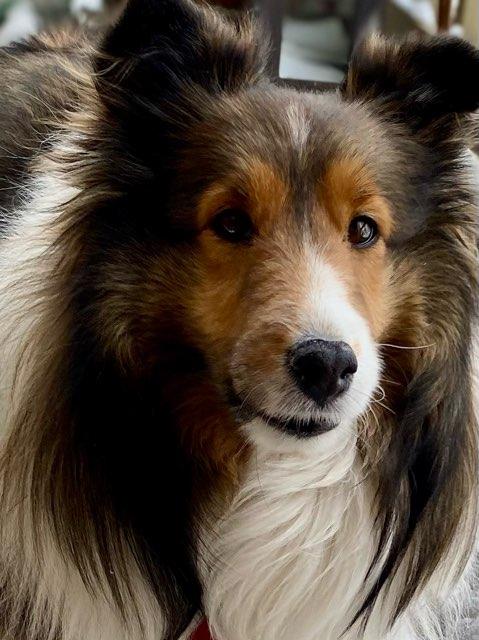 Paiten profile photo
