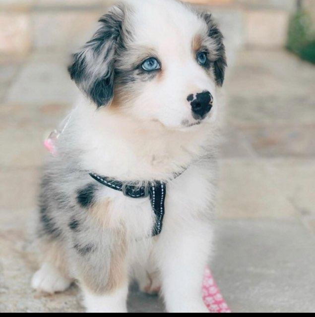 Ella profile photo