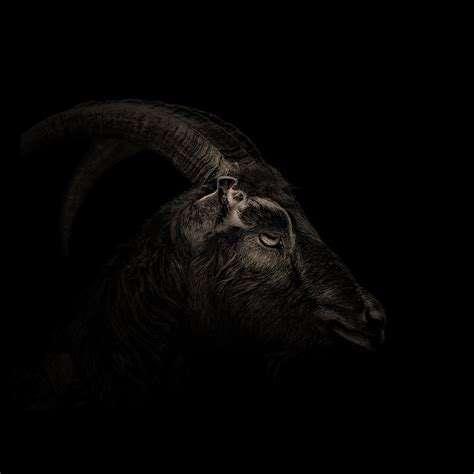 Trudeau profile photo